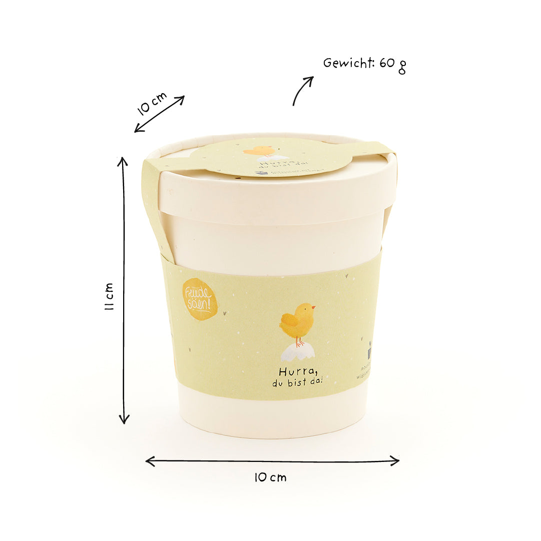 KidzzCamp Wildblumen-Anzuchtset zur Geburt