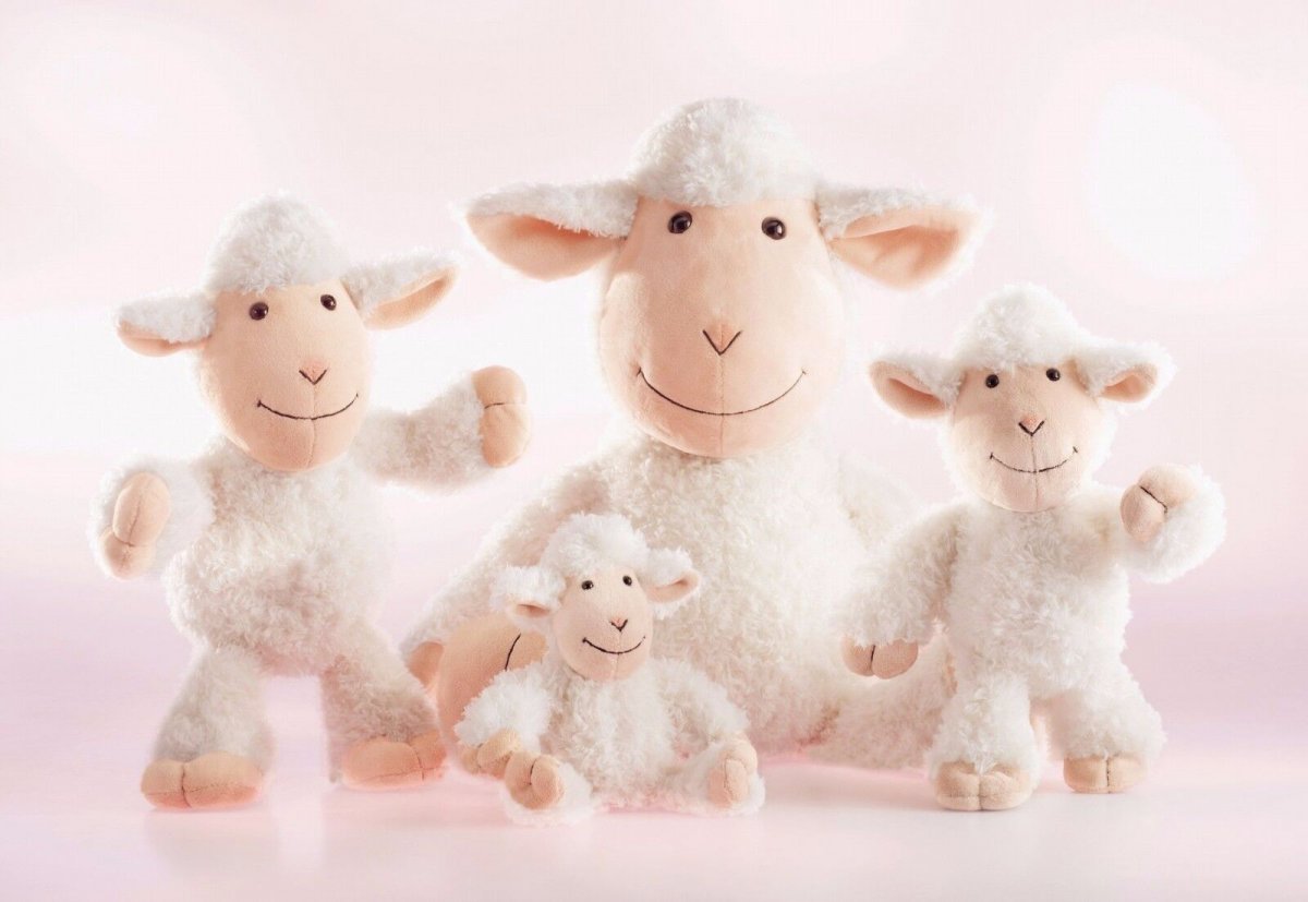 Schaf „Sheala“ 55 cm