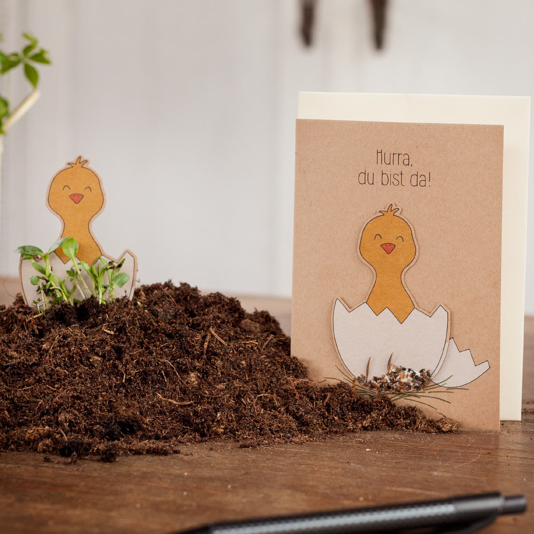 KidzzCamp Pflanzkarte Geburtskarte "Hurra, du bist da"