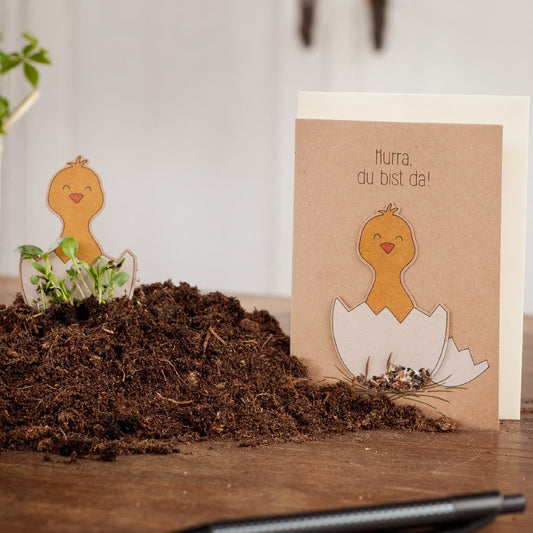 KidzzCamp Pflanzkarte Geburtskarte "Hurra, du bist da"