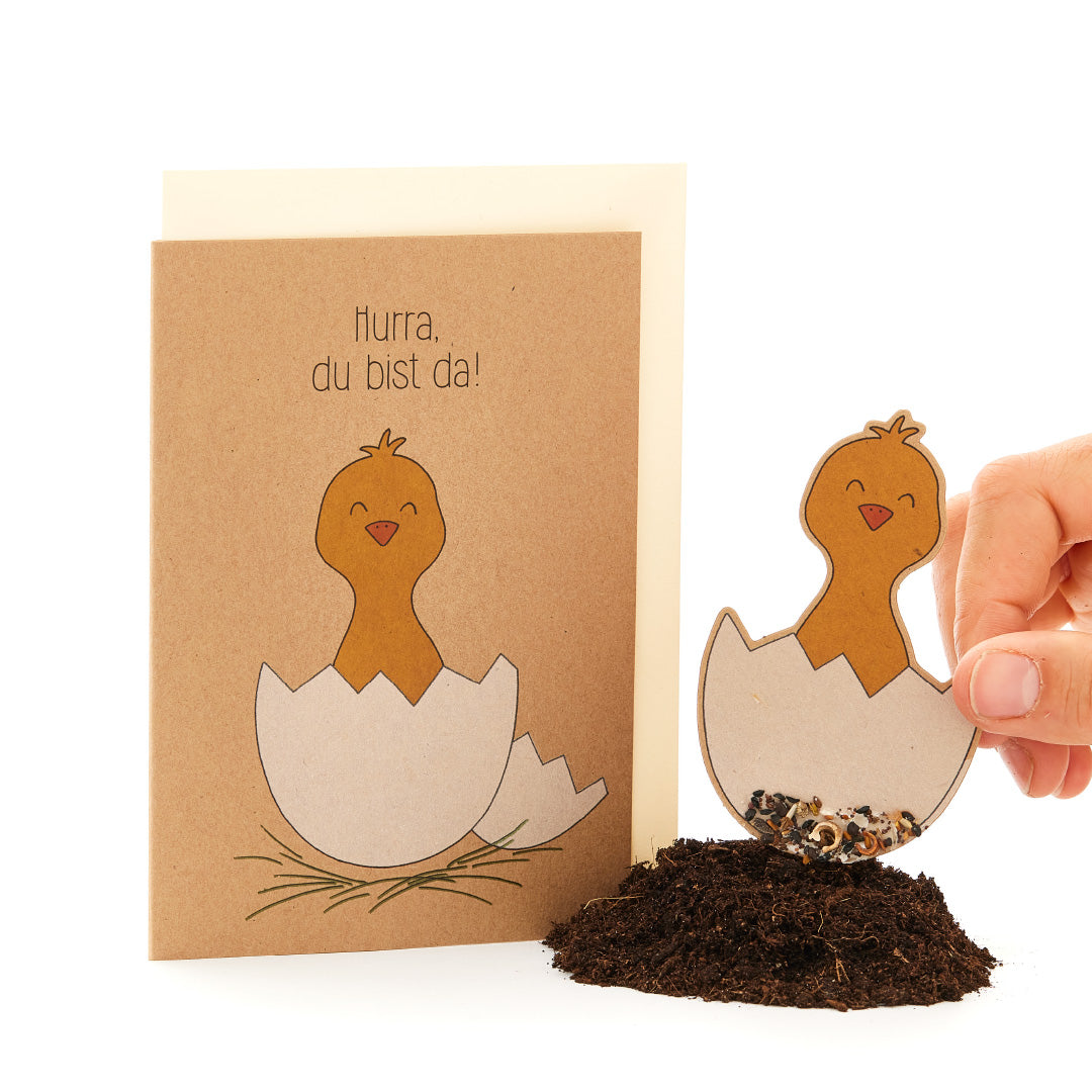 KidzzCamp Pflanzkarte Geburtskarte "Hurra, du bist da"