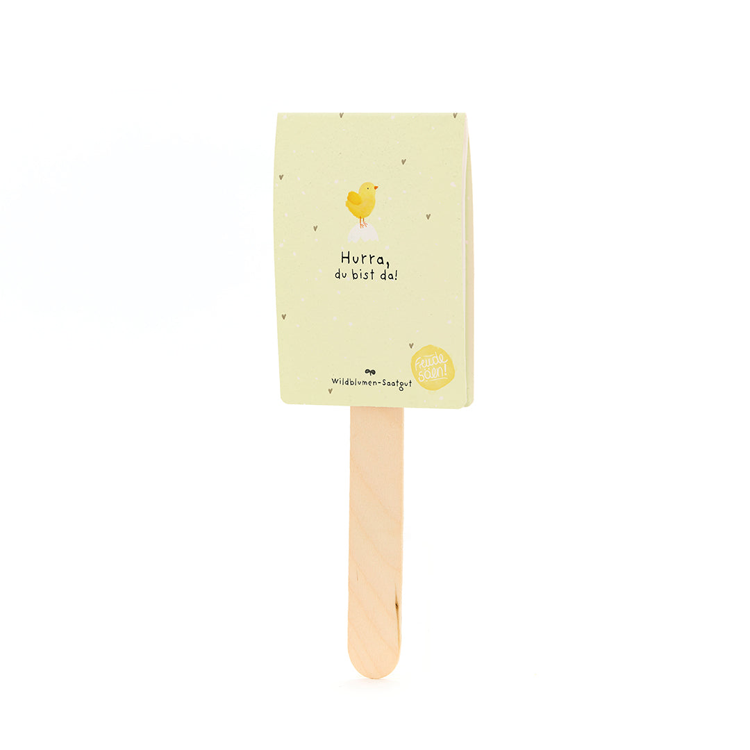 KidzzCamp Saatgruß zur Geburt