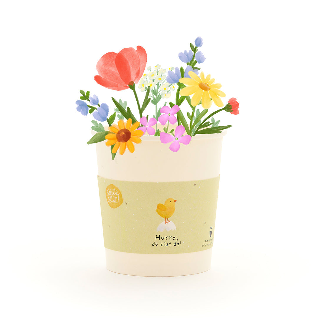 KidzzCamp Wildblumen-Anzuchtset zur Geburt