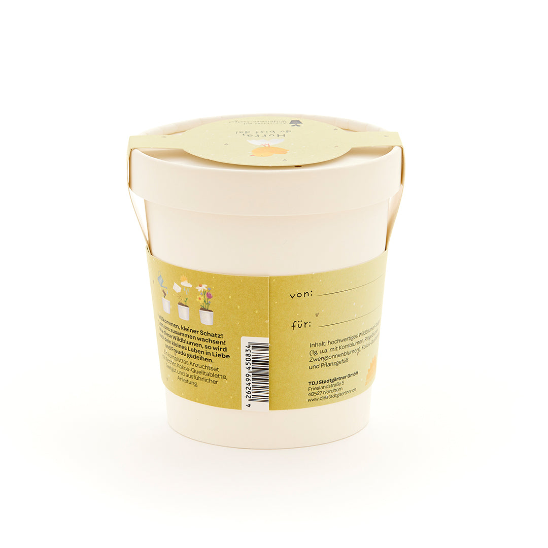 KidzzCamp Wildblumen-Anzuchtset zur Geburt