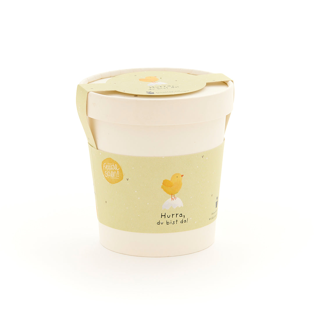 KidzzCamp Wildblumen-Anzuchtset zur Geburt