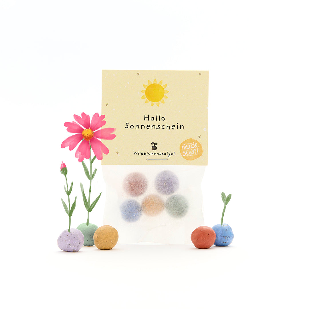 5 Blumenmurmeln im Tütchen "Hallo Sonnenschein"