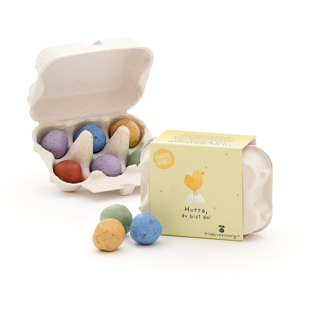 KidzzCamp Blumenmurmeln zur Geburt