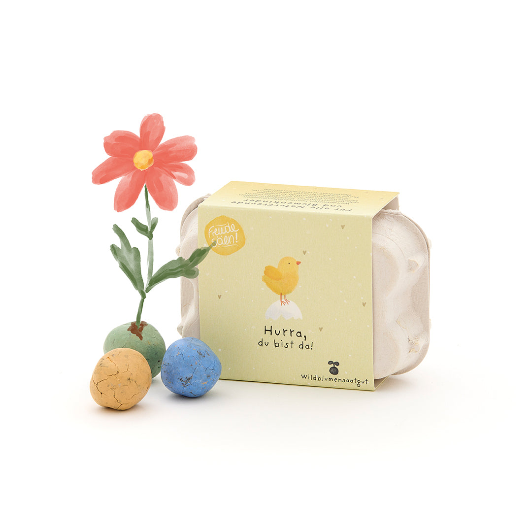 KidzzCamp Blumenmurmeln zur Geburt