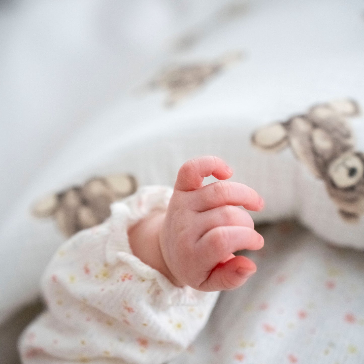 Babyschlafsack Dreamy Musselin Teddybär  – süßer Ganzjahresschlafsack