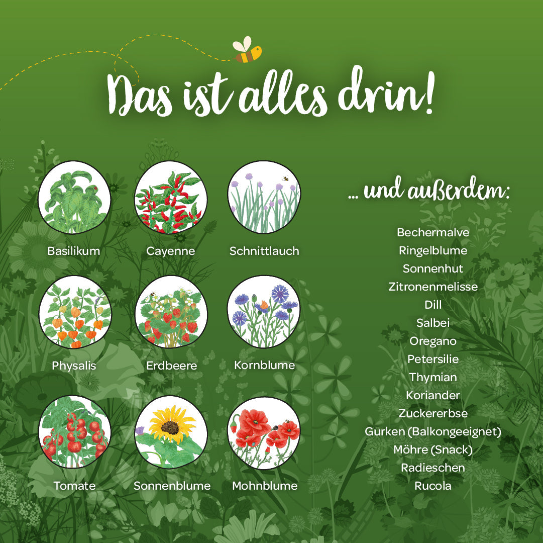 Saatgut-Adventskalender mit Türchen