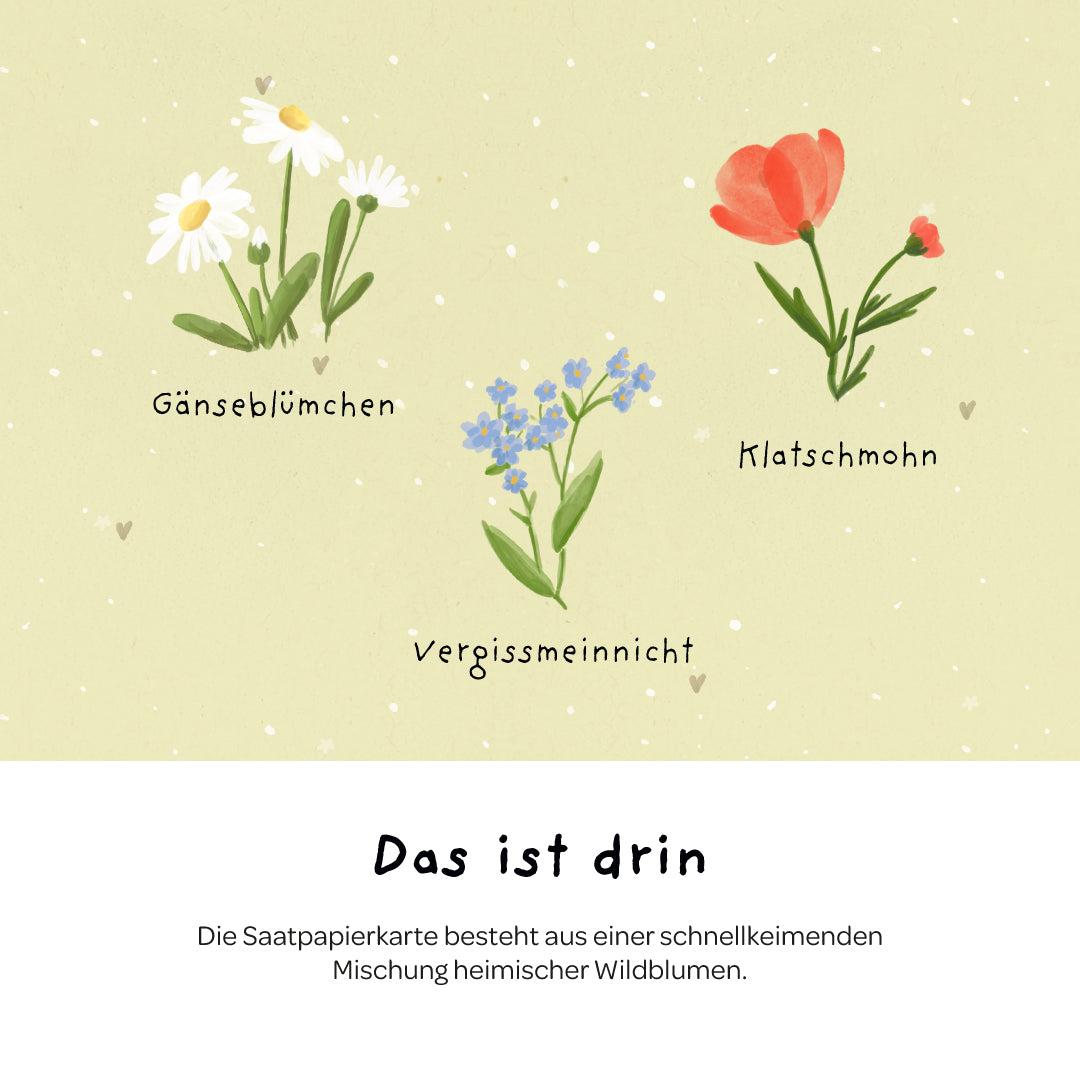 KidzzCamp Pflanzkarte Grußkarte - Hurra, du bist da!