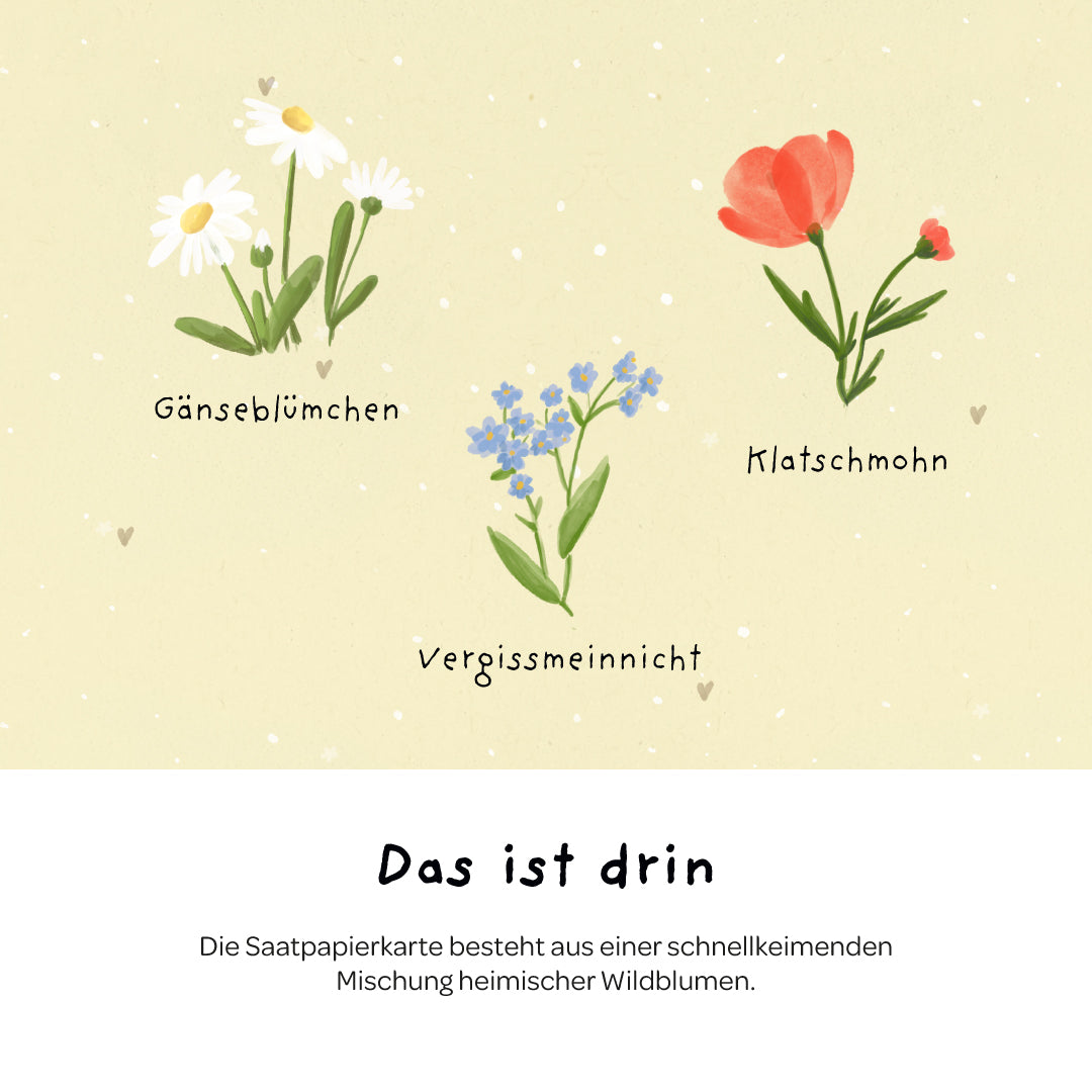 Grußkarte - Hallo Sonnenschein