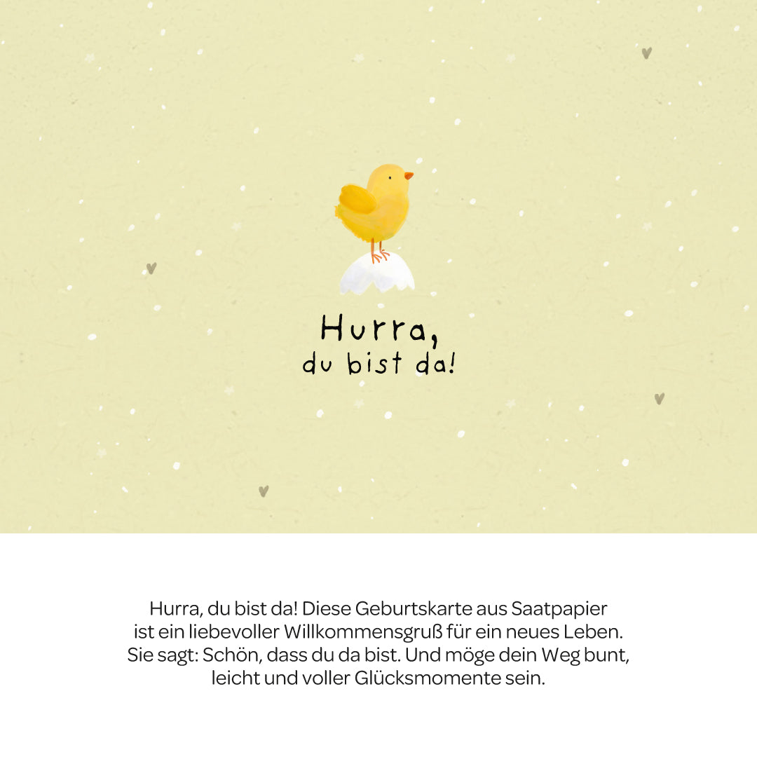 KidzzCamp Pflanzkarte Grußkarte - Hurra, du bist da!