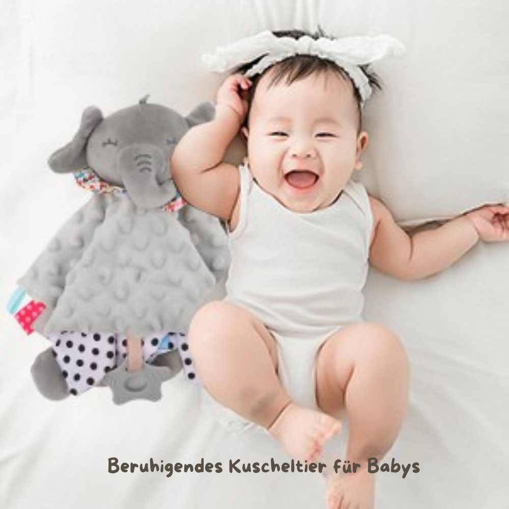 KidzzCamp Baby-Geschenkbox 12-teiliges Geschenkset