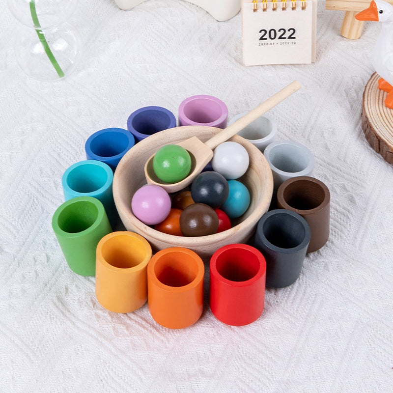 Kugel Sortier- und Zuordnungsspiel aus Holz mit 12 Farben – Puzzle für Farberkennung - im Holz Geschenkbox