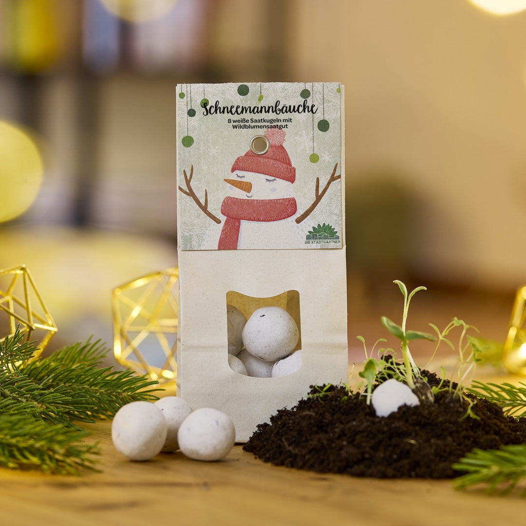 Schneemannbäuche – Weiße Blumenmurmeln