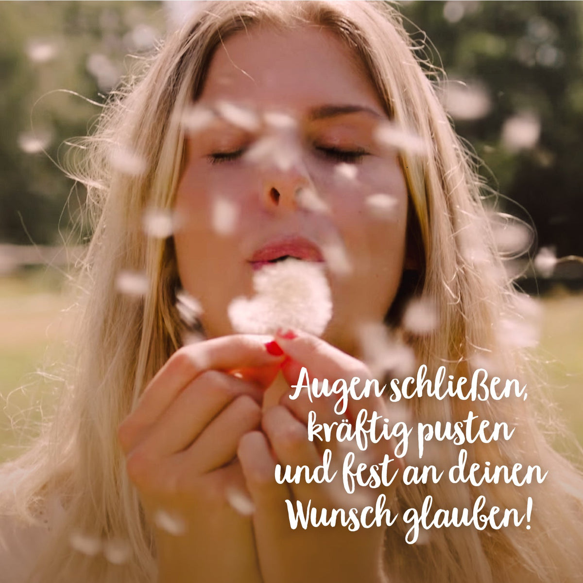 Großer Wunscherfüller – Pusteblume im Glas