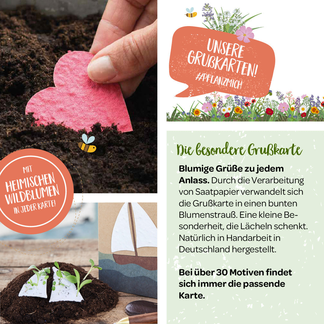 Grußkarte "Hallo Sonnenschein"