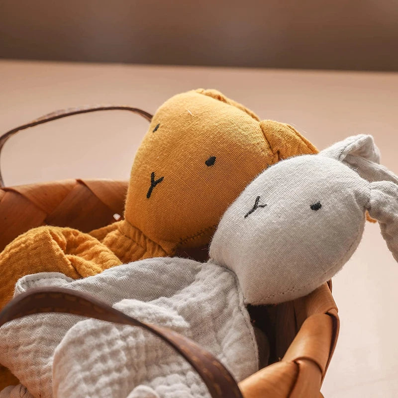 KidzzCamp Baby-Geschenkbox 6-teilig in 10 Varianten